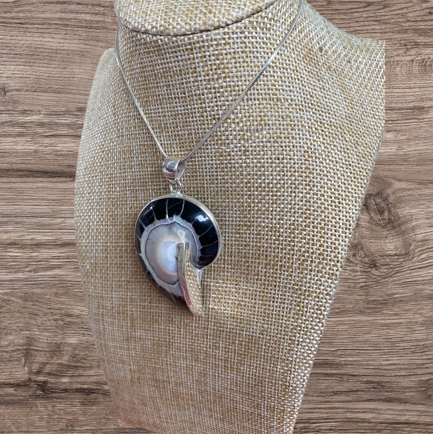 Nautilus Shell Pendant Black With Inlay Sterling Silver
