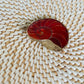 Nautilus Shell Pendant Red With Inlay Sterling Silver